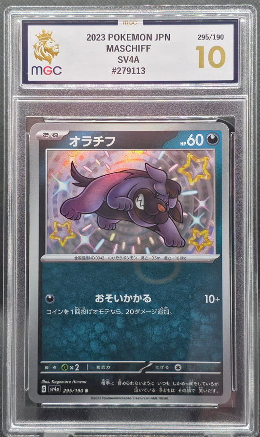 Maschiff - MGC Graded - 10